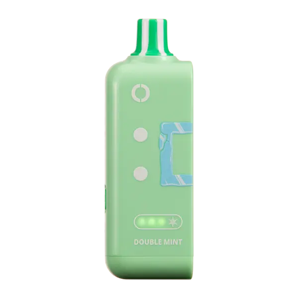 BUY 1 GET 1 FREE Double Mint Ice Off Stamp Ice Cube