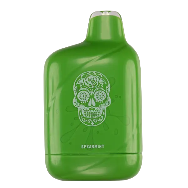 BUY 1 GET 1 FREE Spearmint Esco Bar 6000 | Vape Amazon India Esco Bar